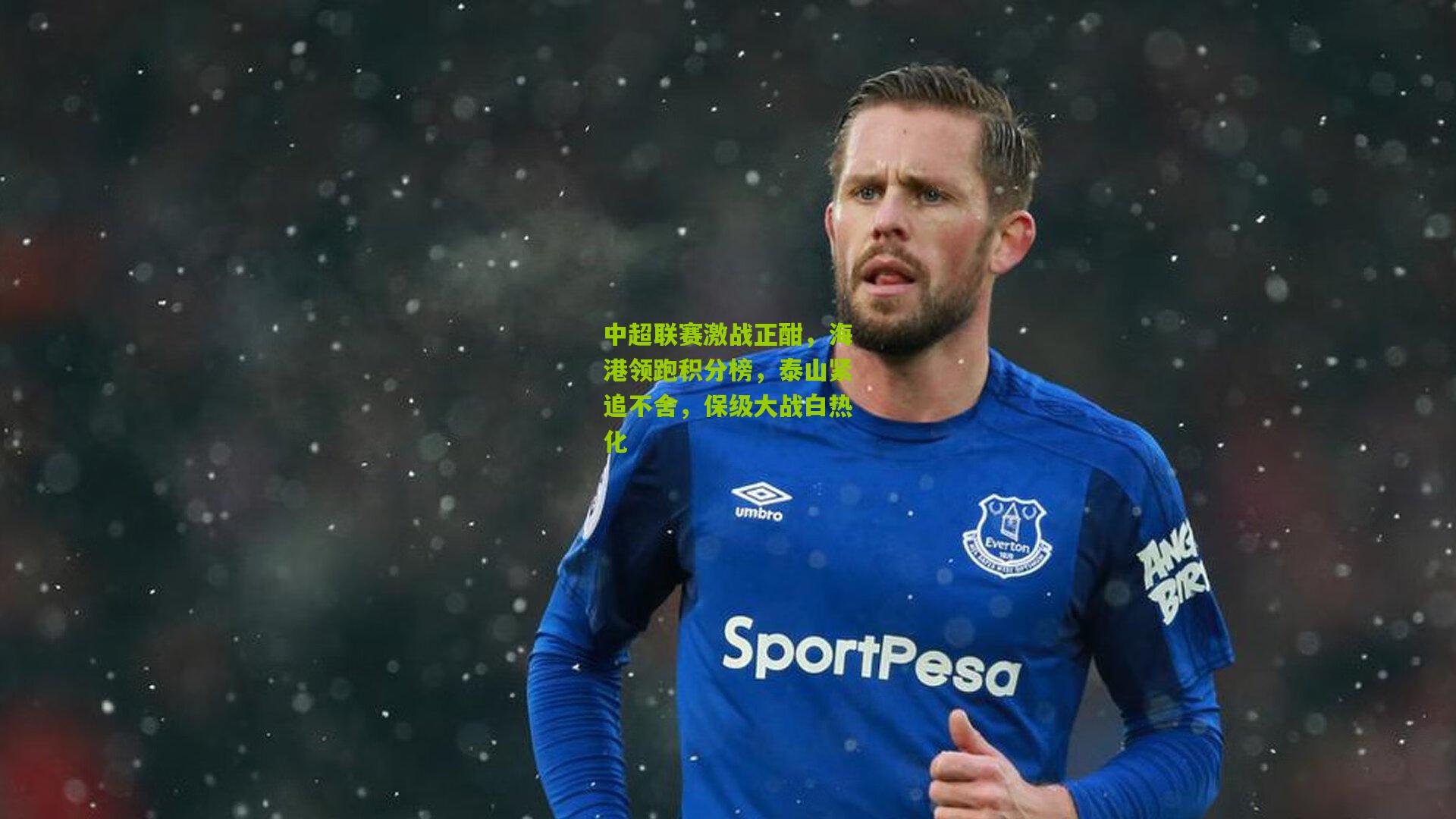 中超联赛激战正酣，海港领跑积分榜，泰山紧追不舍，保级大战白热化