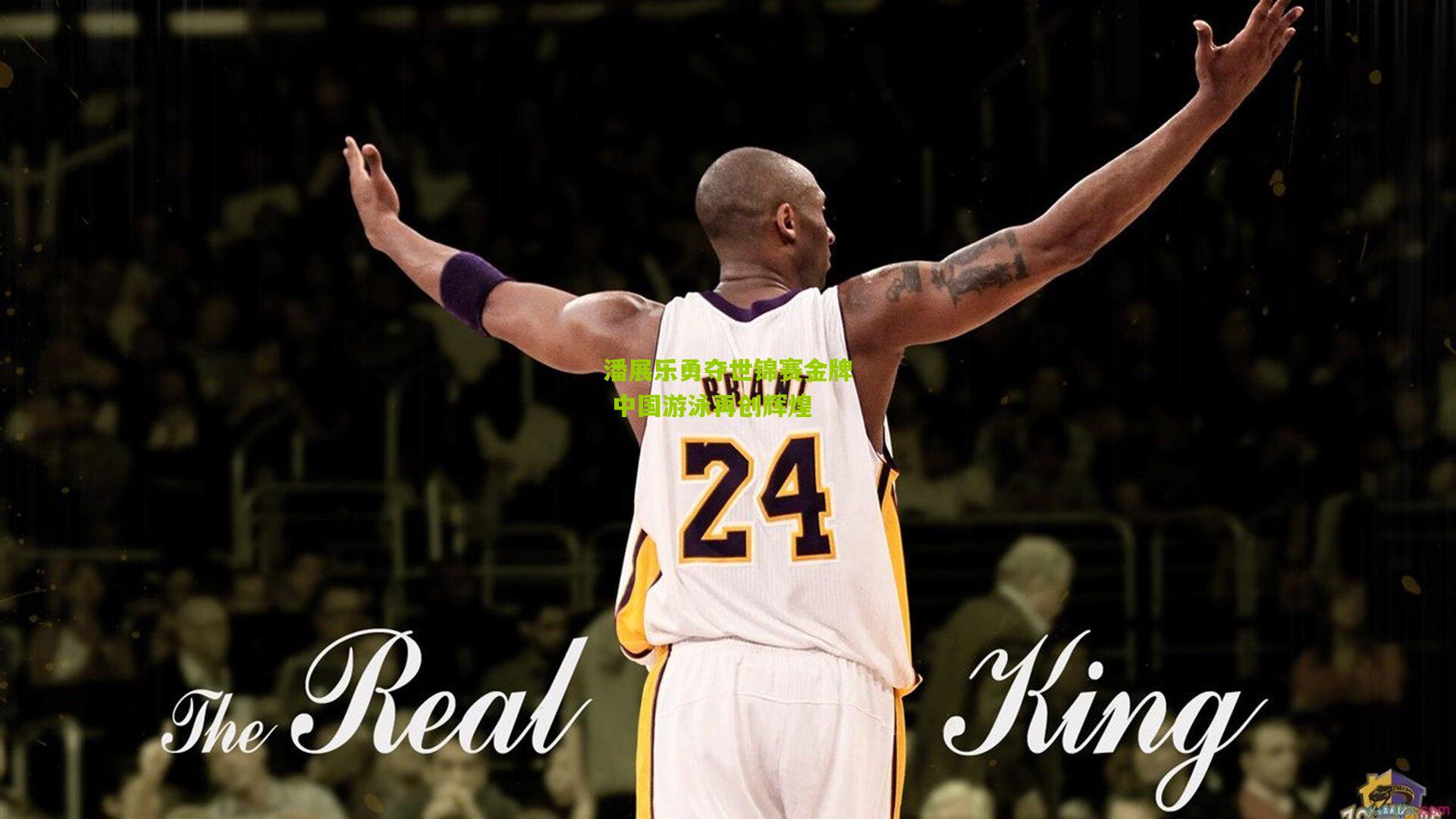 澳客入口_潘展乐勇夺世锦赛金牌 中国游泳再创辉煌